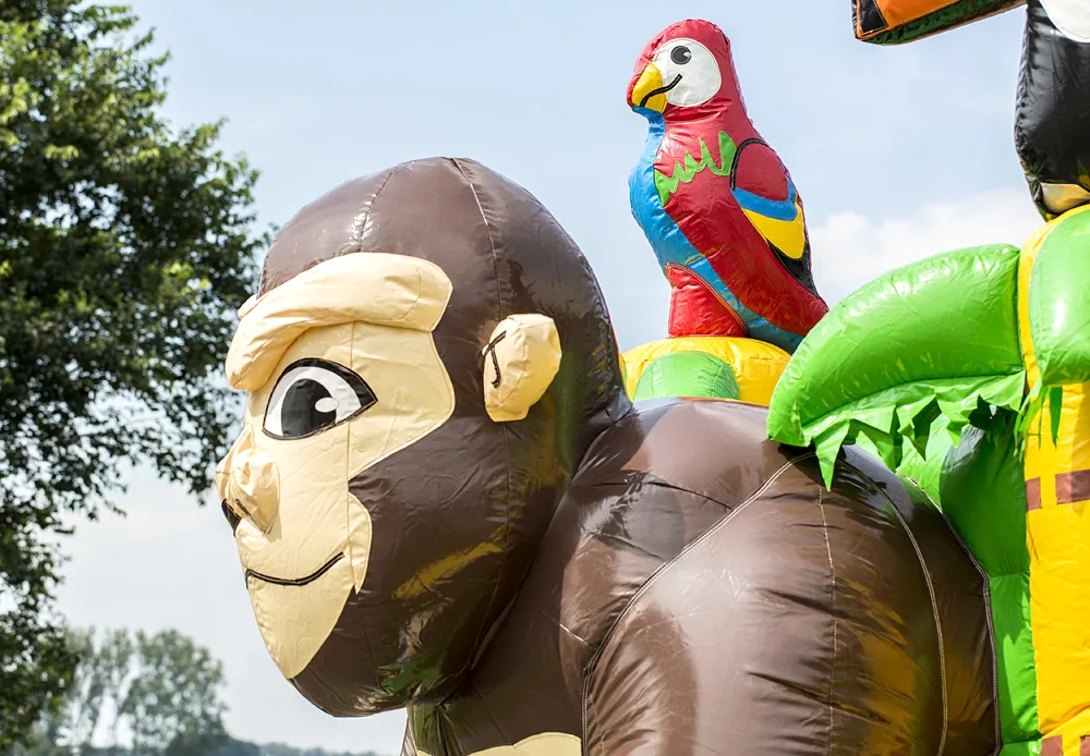 Dieren springkussen verhuur Hierden